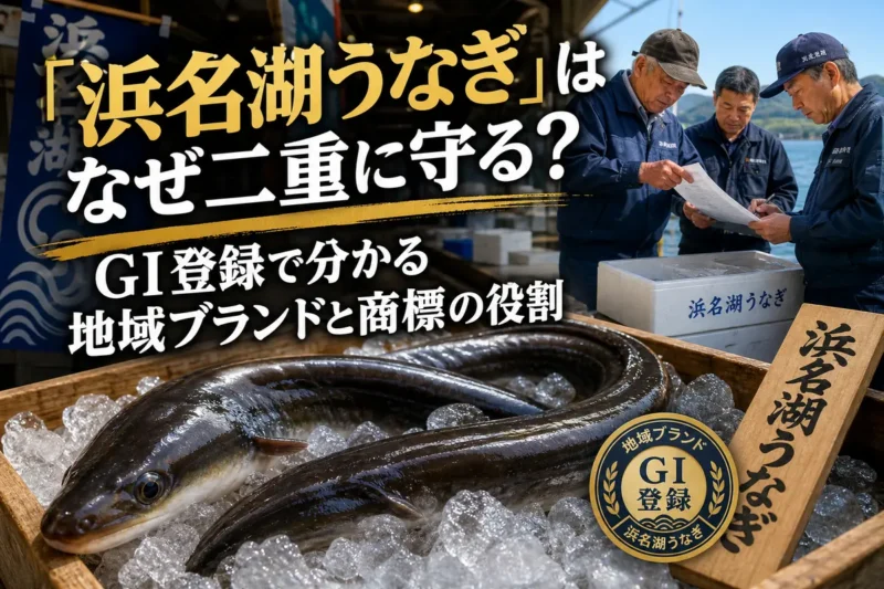 浜名湖の養殖ウナギと出荷記録を確認する生産者のイメージ。