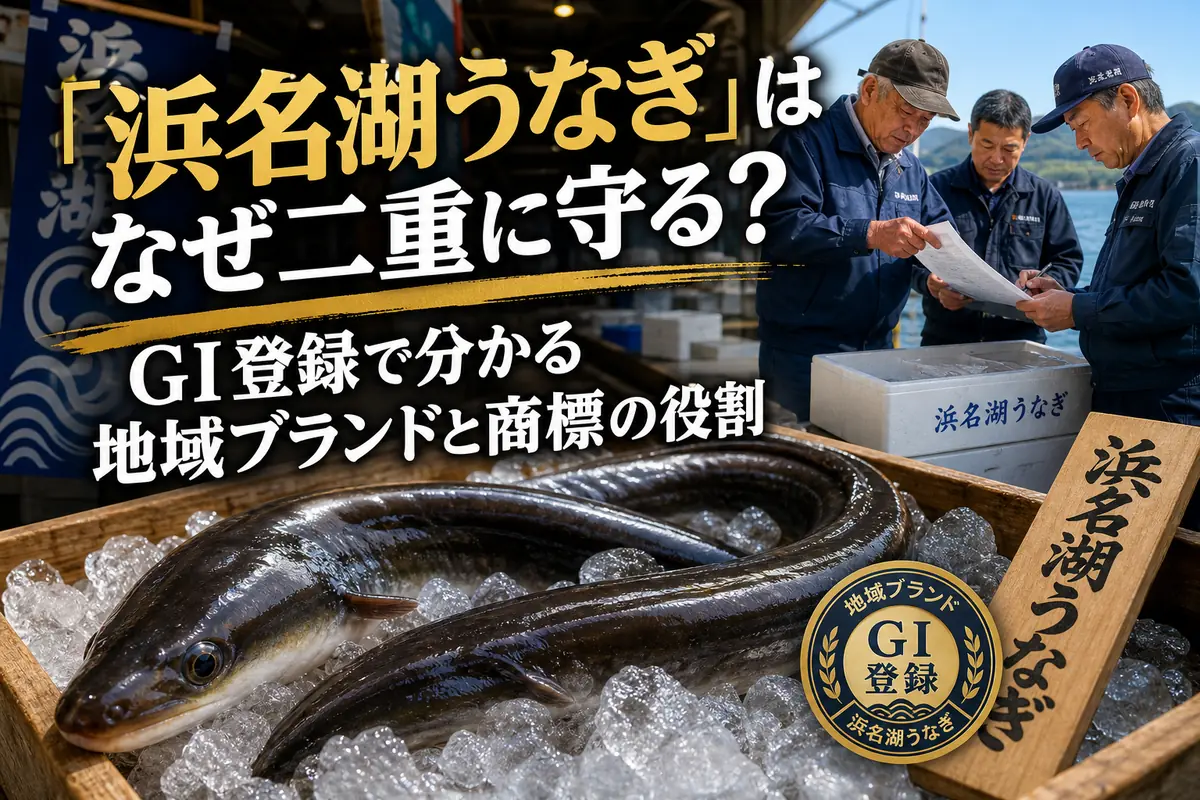 浜名湖の養殖ウナギと出荷記録を確認する生産者のイメージ。