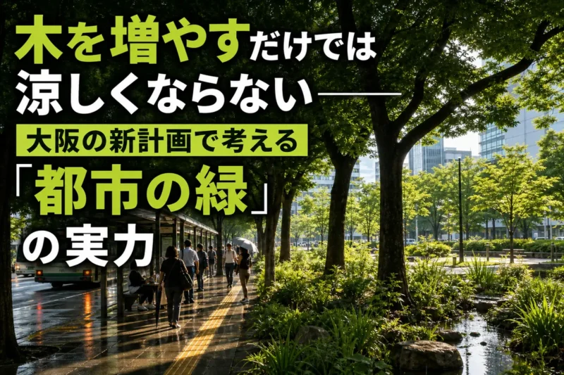 街路樹の木陰と雨庭がある夏の都市空間。
